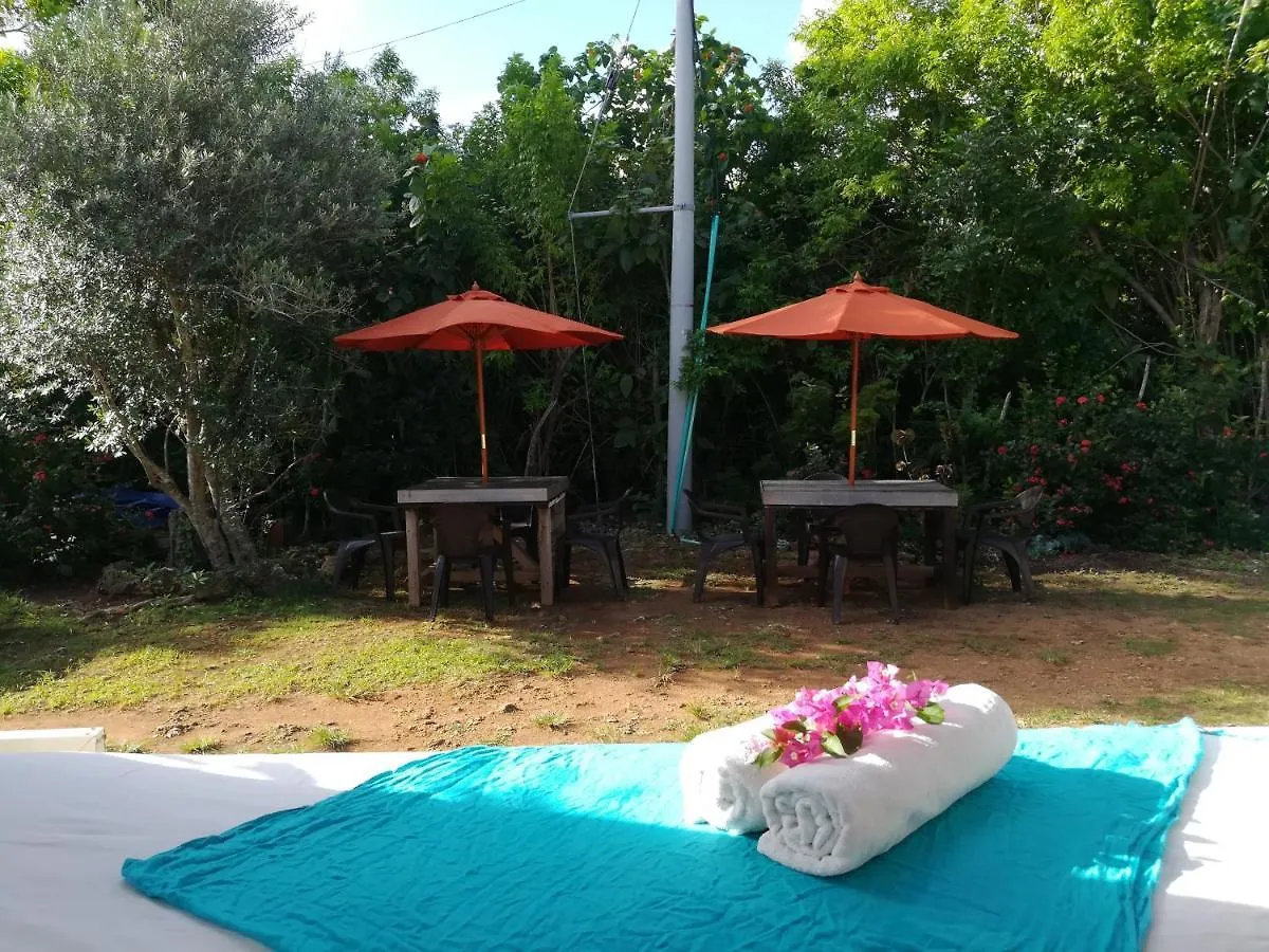 Appart hôtel Casa Royal Palm Inn San Andrés