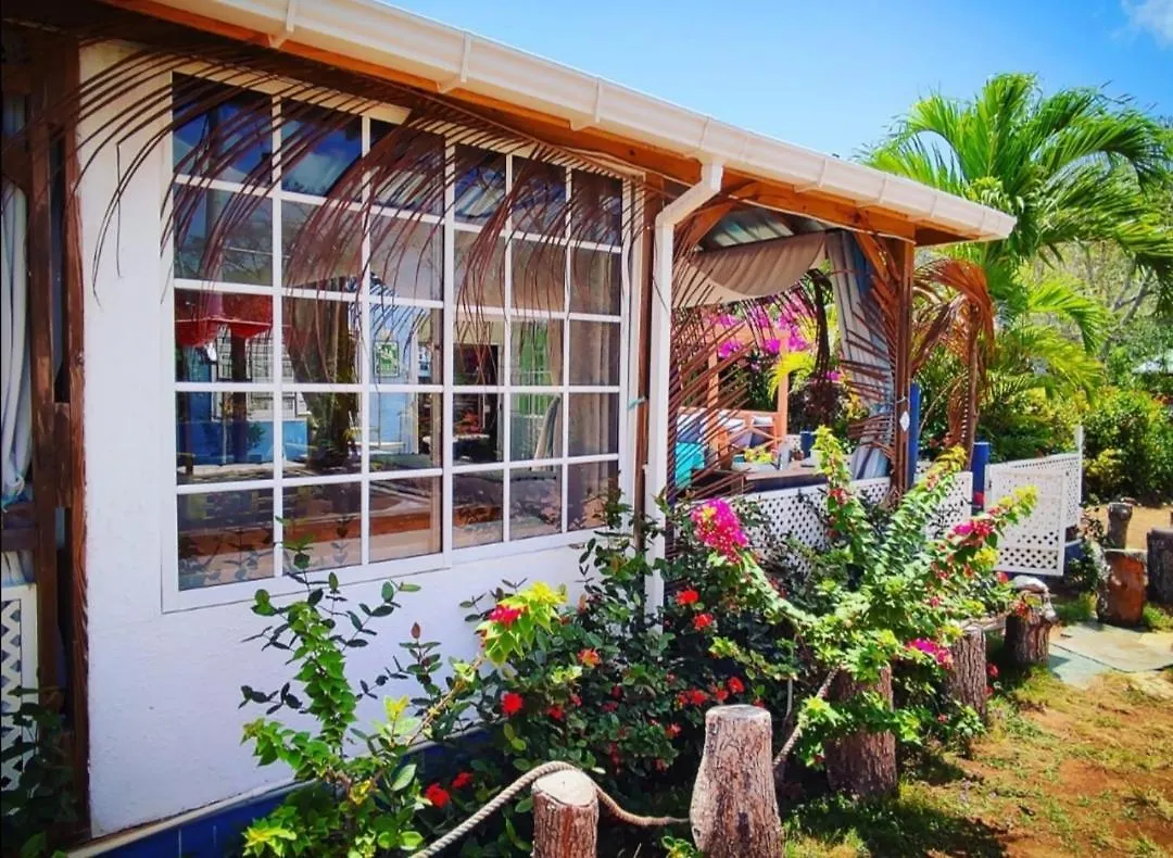 Casa Royal Palm Inn San Andrés 4*,  コロンビア