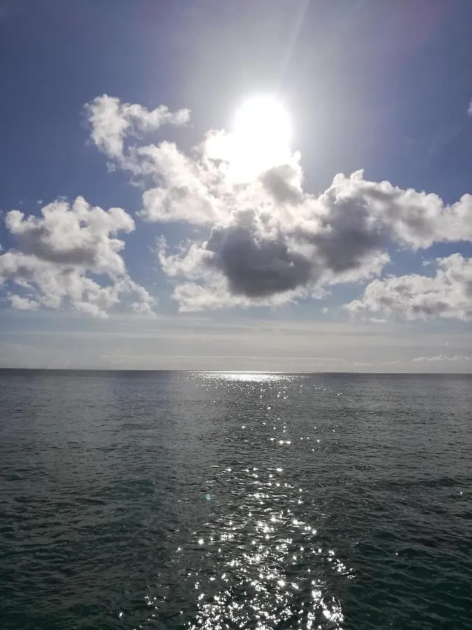 アパートホテル Casa Royal Palm Inn San Andrés