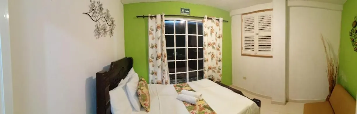 アパートホテル Casa Royal Palm Inn San Andrés