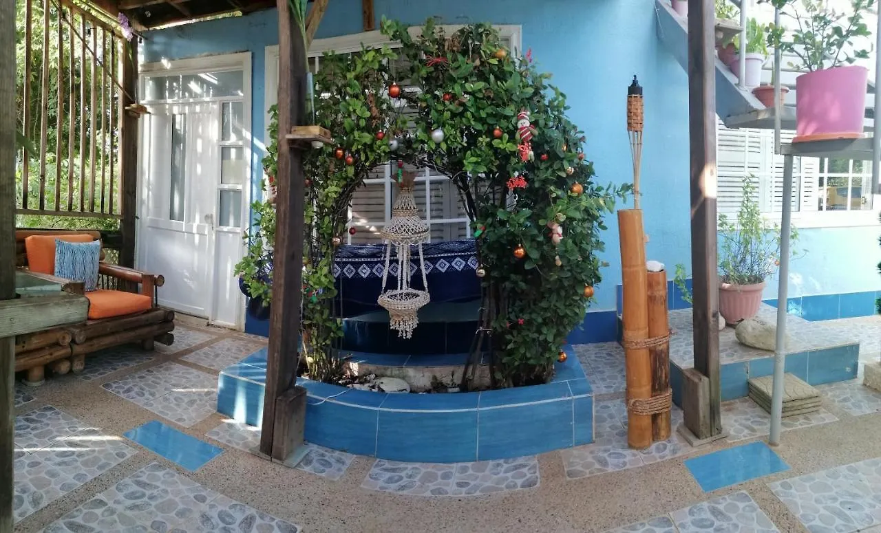 Casa Royal Palm Inn Сан-Андрес Колумбия